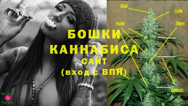 дживик Кодинск